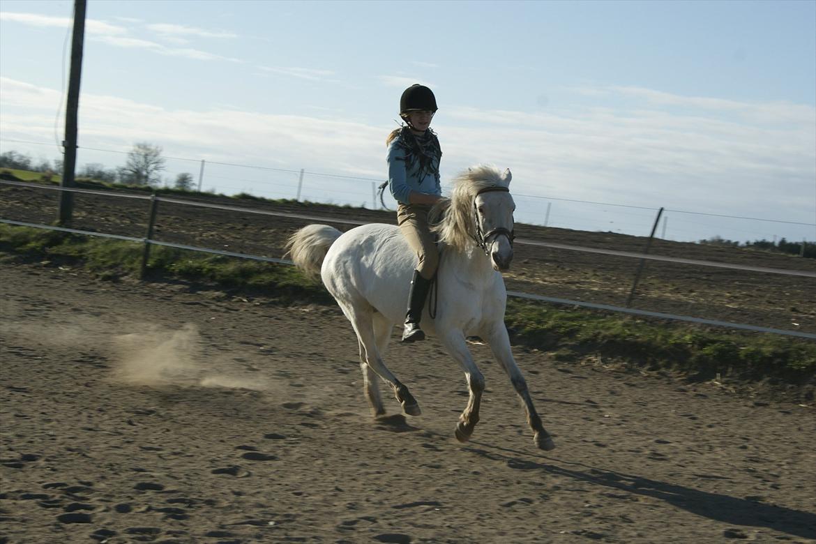 Knabstrupper Norring's Trinity [Låne Pony] - 5-4-12<3 billede 12