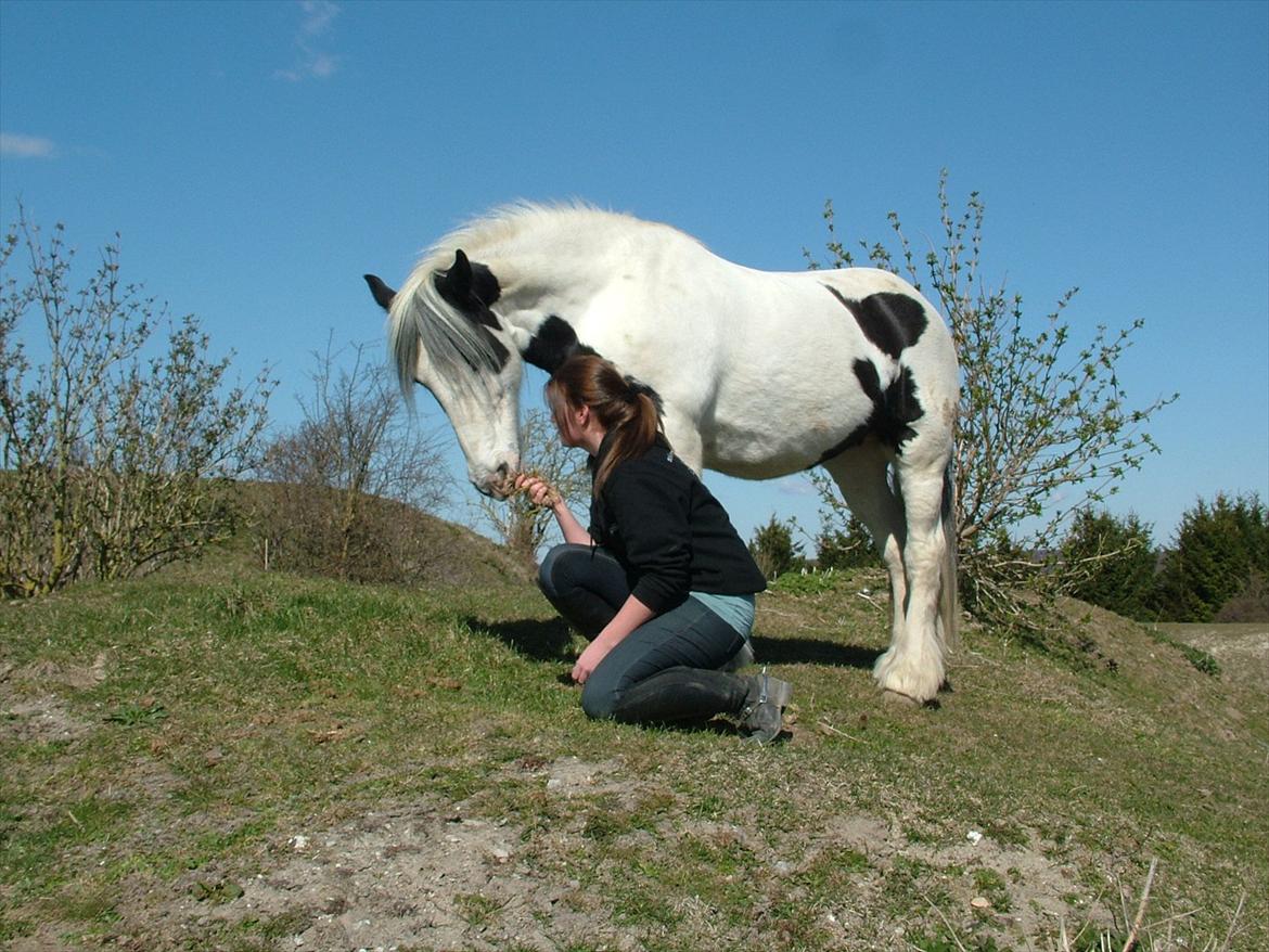 Tinker | Tinka - Tillid er ordet <3 Ingen andre kan komme til hende på folden, så jeg er en meget stolt pige! :') <3 ELSKER DIG <3 billede 14