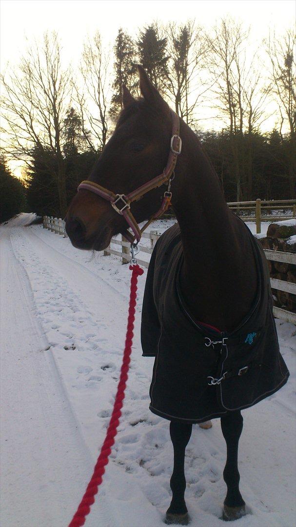 DSP Racing Tai Vil altid være elsket!! <3<3 billede 8