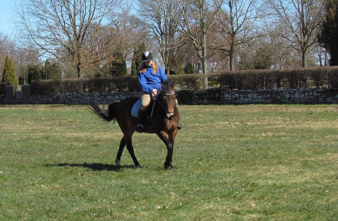 Anden særlig race Bitteby's Tulle.  - Sporleg i lystskoven.
Og så træner man lidt for at berolige pigen ;) billede 10