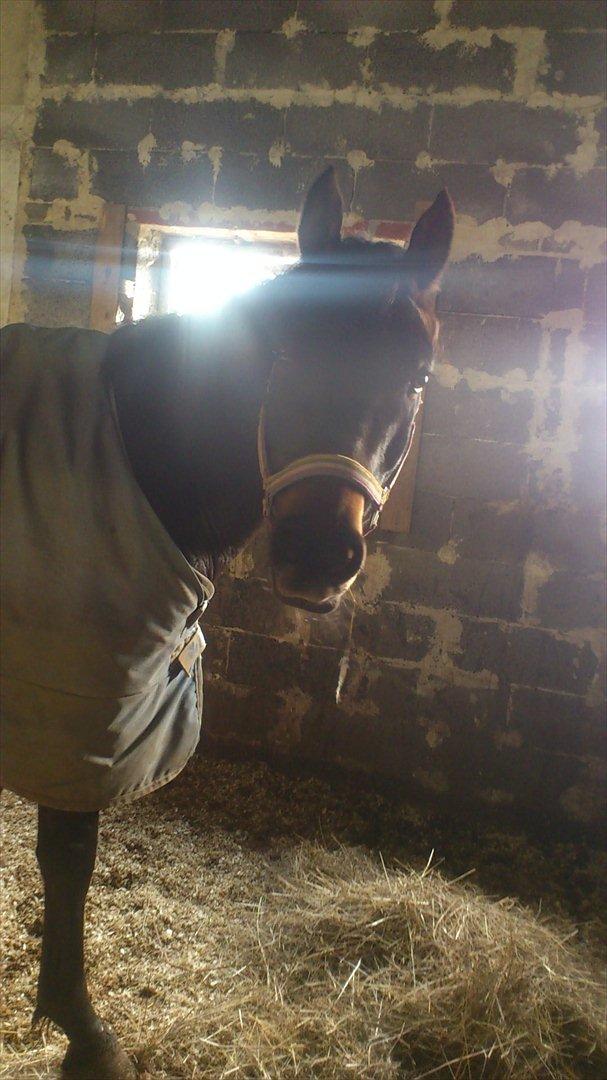 DSP Racing Tai Vil altid være elsket!! <3<3 billede 7