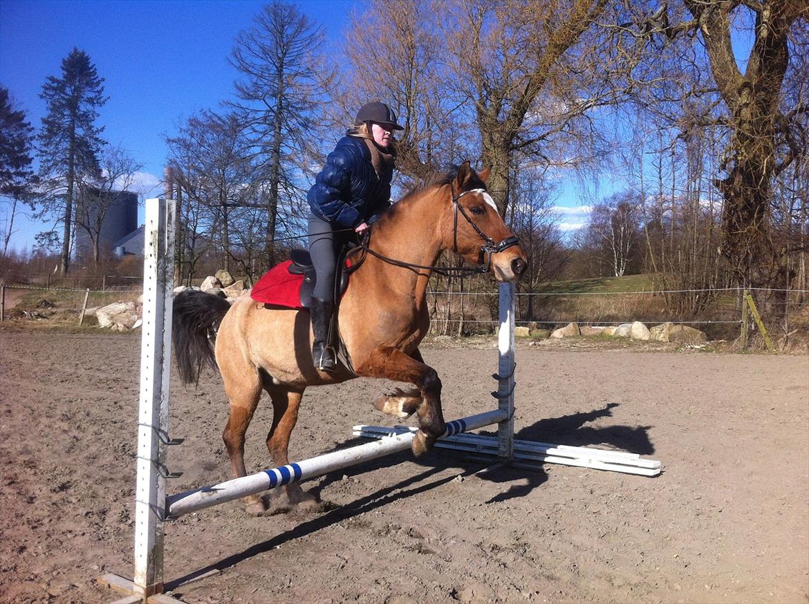 Anden særlig race Luna - Et lille spring :* billede 17