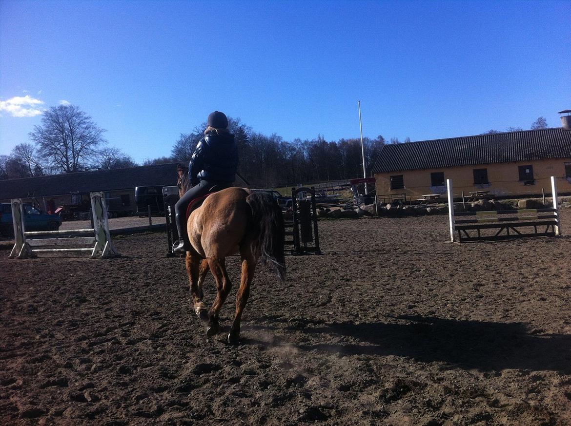 Anden særlig race Luna - Vi ses for denne gang :P billede 20