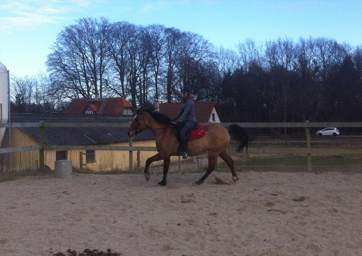 Anden særlig race Luna - Hyp hyp :P billede 6