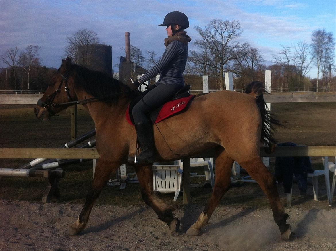 Anden særlig race Luna - Skønne Luna :* billede 19