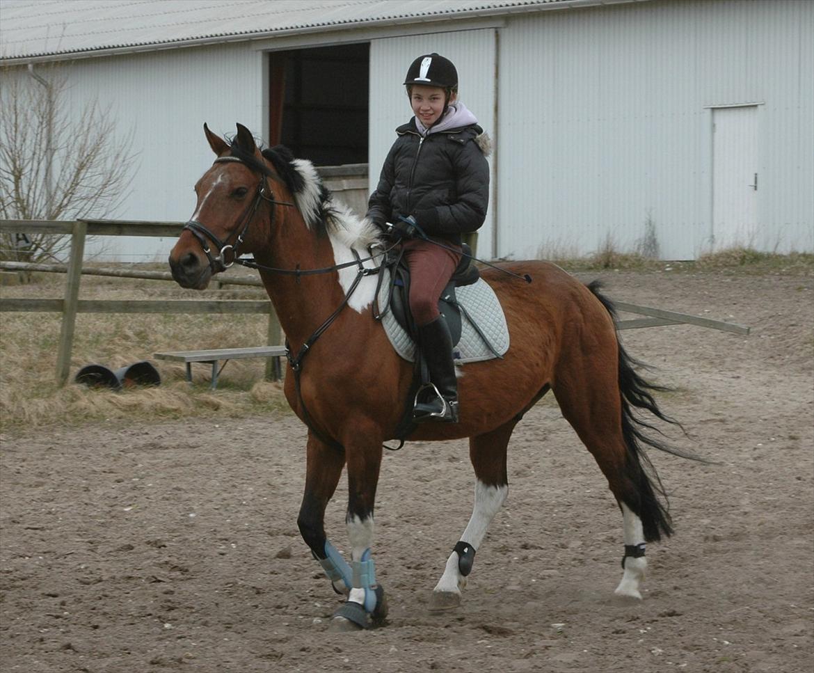 Anden særlig race Spotlight<3 billede 8