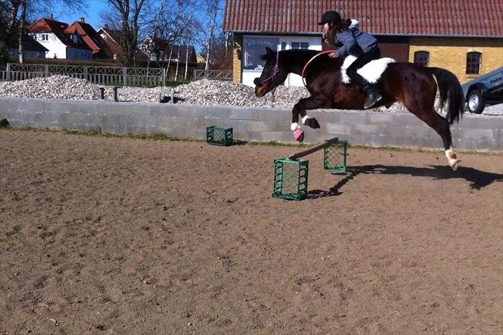 DSP Snekkerups Candy - Mig og min flyvende pony<3 billede 13