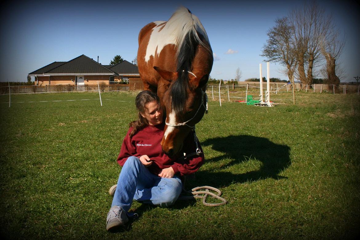 Pinto Humlegaardens Djinn - Du og Jeg, april 2012 billede 4