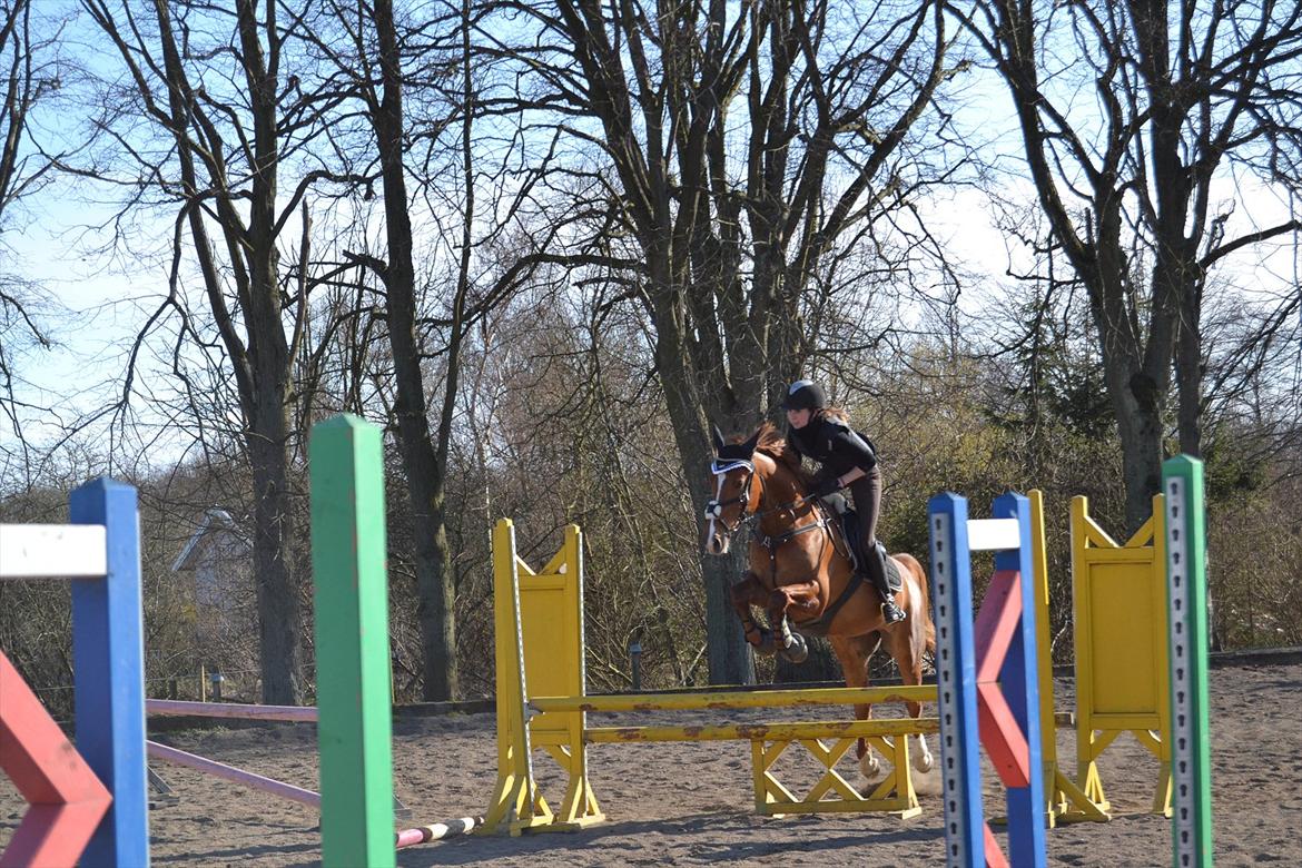 Frederiksborg Chica - GADETØSEN! <3 - Seje Tøsen !! <3
Foto: Lisa billede 13