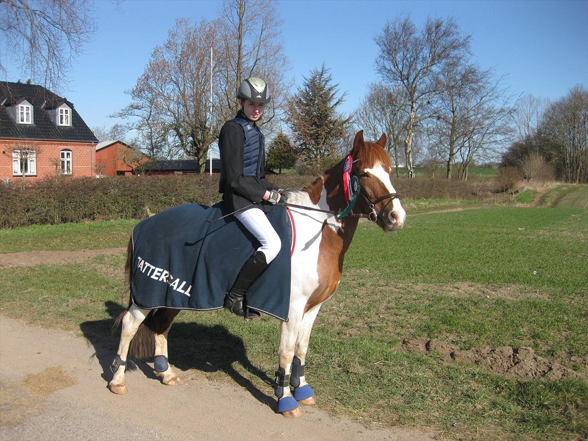 Pinto NM Pimento - Mit eventyr! - Det handler ikke om hvad du har opnået, men hvordan og med hvem du opnår det!  billede 17