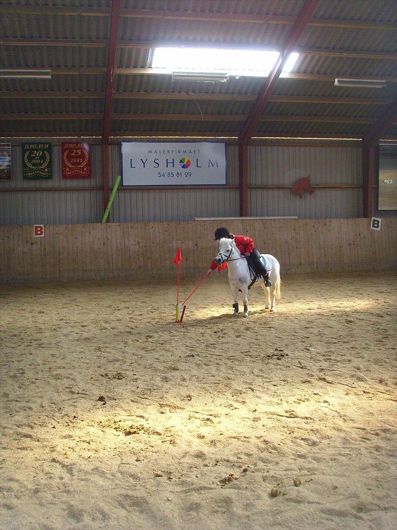 Anden særlig race Kasper - Games d. 6/4-12 billede 6