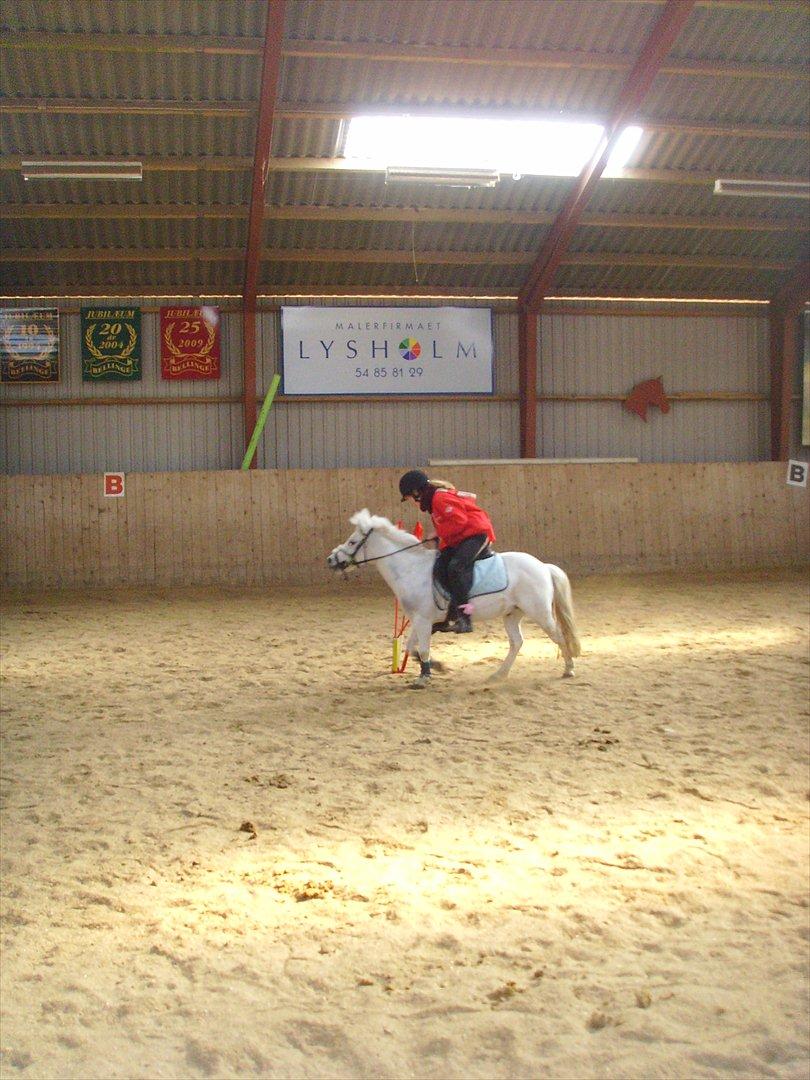 Anden særlig race Kasper - Games d. 6/4-12 billede 7