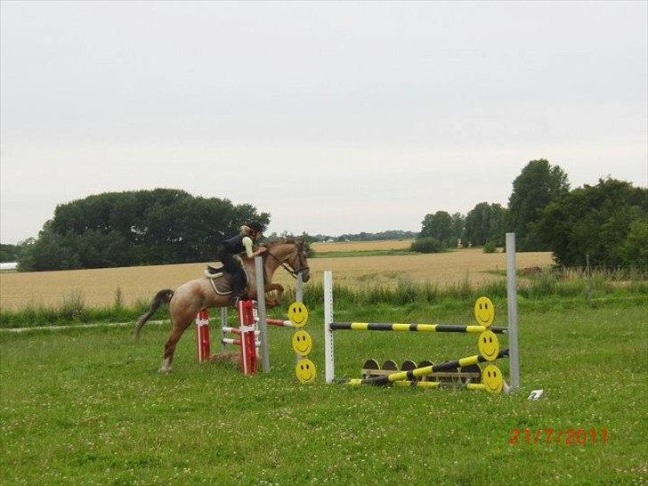 Appaloosa Rambo billede 18