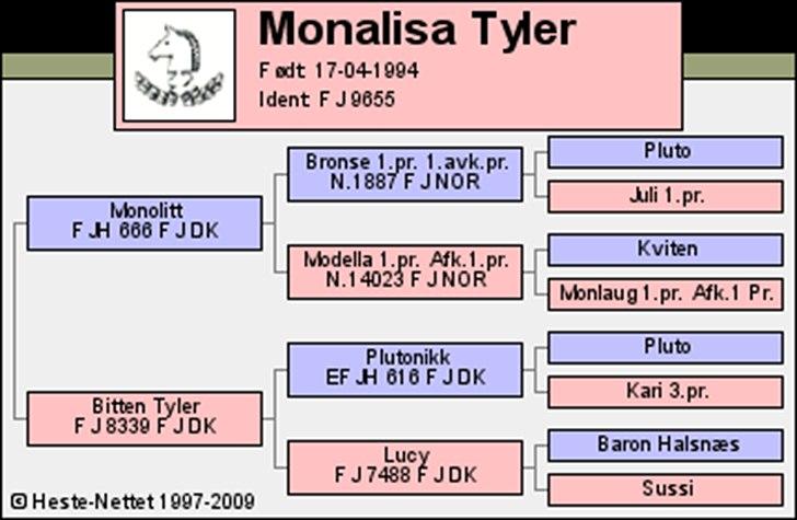 Fjordhest Monalisa Tyler tidl.part billede 9