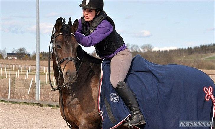 Anden særlig race 'Tidligere hest' Beauty Queen - Endnu mere fjol! <3  billede 11