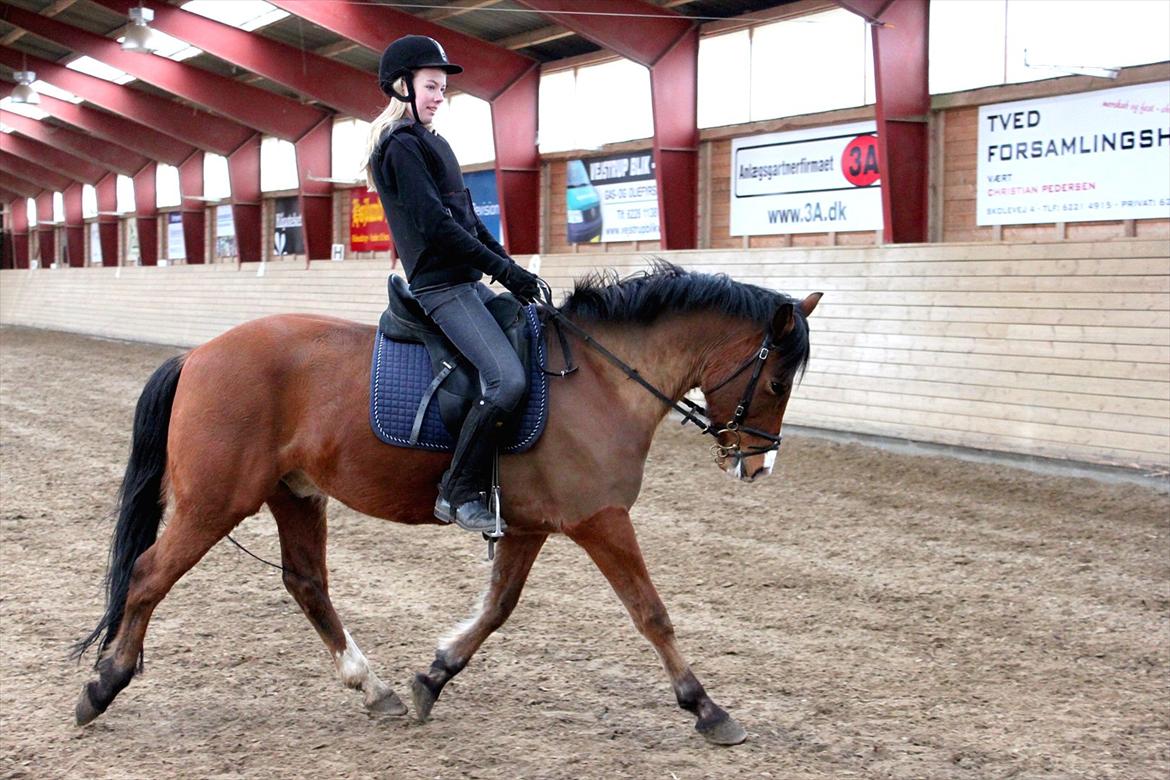 New Forest Cocio (Solgt) - Dressur. <3
D. 6/4-12 billede 16