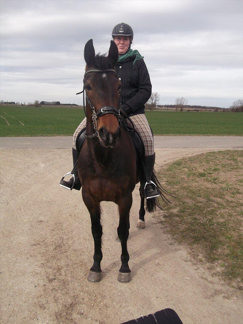 Traver Iceman Face billede 12