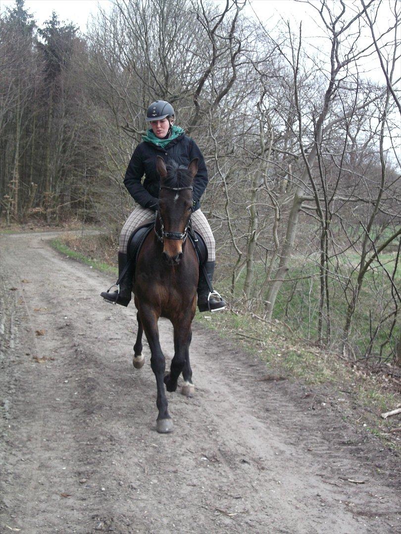 Traver Iceman Face billede 13