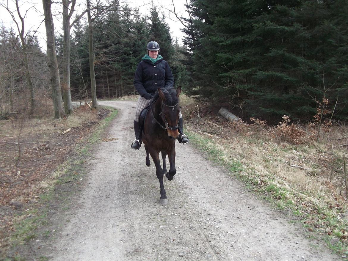 Traver Iceman Face billede 14