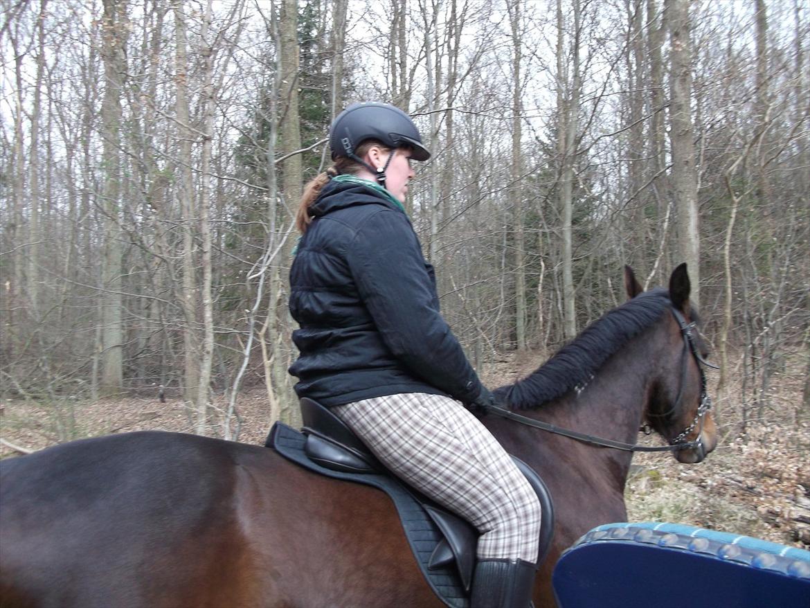 Traver Iceman Face billede 15