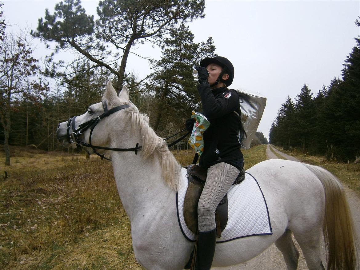 Anden særlig race Dundee<3 - der er ingen ting bedre end en god skovtur!:-) billede 8