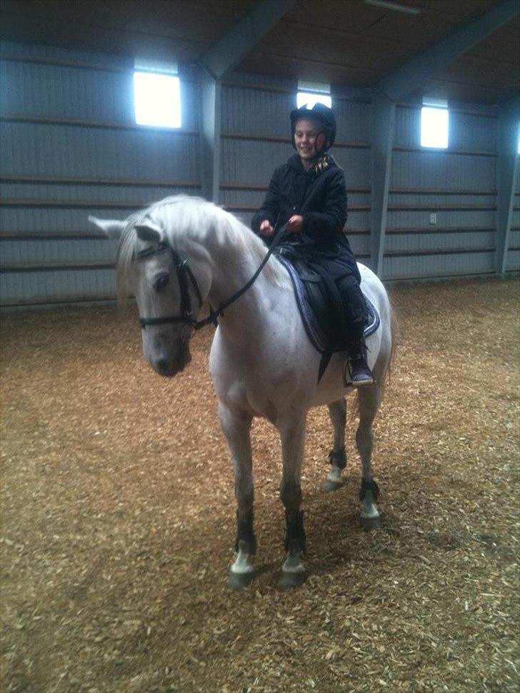 Anden særlig race Dundee<3 - det er første gang hun nogensinde sider på en heste og efter 10 minutter kan hun få ham til at gå sådan der!er stolt:-)  (det er min lillesøster rebecca på 10år der er på billedet) billede 9