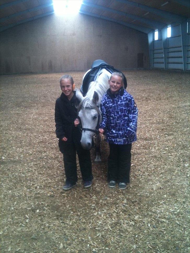 Anden særlig race Dundee<3 - de to nye hestepiger:-D billede 10