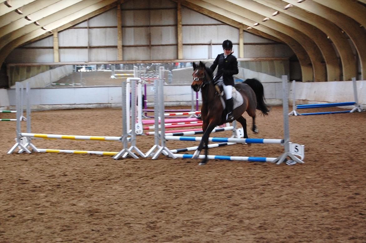 Anden særlig race Liesje - "Der er mange ting i livet, som vil fange dine øjne, men kun få, som vil fange dit hjerte."

ØKR Påske sløjfe spring d 6. april - 2012.
50 cm - Fejlfrit!<3

Foto af - Mor billede 17