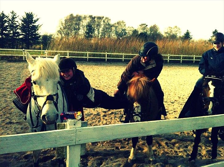 Anden særlig race Fantazy - færdig med pony games træning :) så kunne man lige lave lidt sjovt på ponyerne billede 12