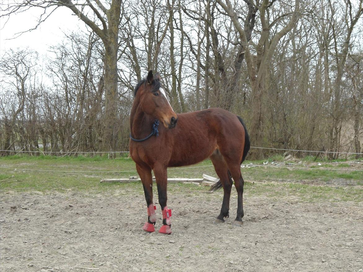 Traver Lorina air <3 - Når jeg siger til dig at du er perfekt, betyder det ikke at du ikke er fejlfri. Men at jeg ikke ønsker dig anderledes.. billede 15