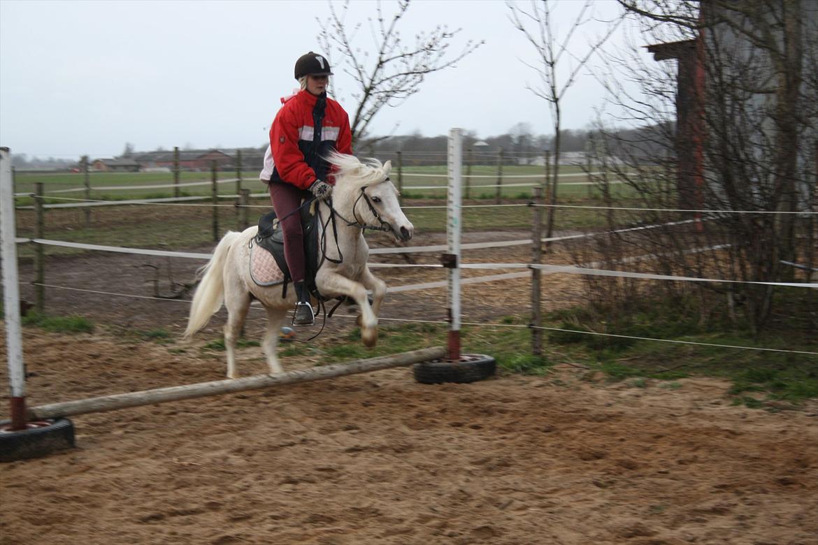 Anden særlig race Thorsvang´s Bella :-) - min smukke pige kan springe

Foto: Mig billede 18