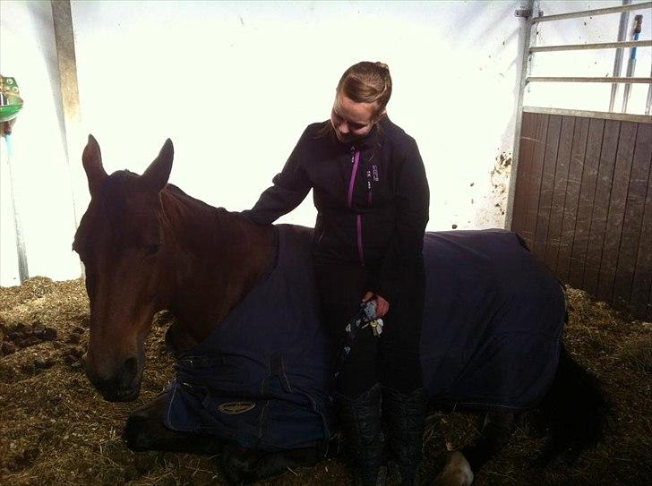 Anden særlig race Nikita   *TUTTE*   >>VBH<< - 6/ Du er min hverdag, mit liv! TRONSØSKOLEN 11/12! (Foto: Camilla Pihl) billede 6