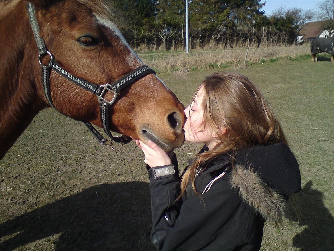 Anden særlig race Blundy billede 16