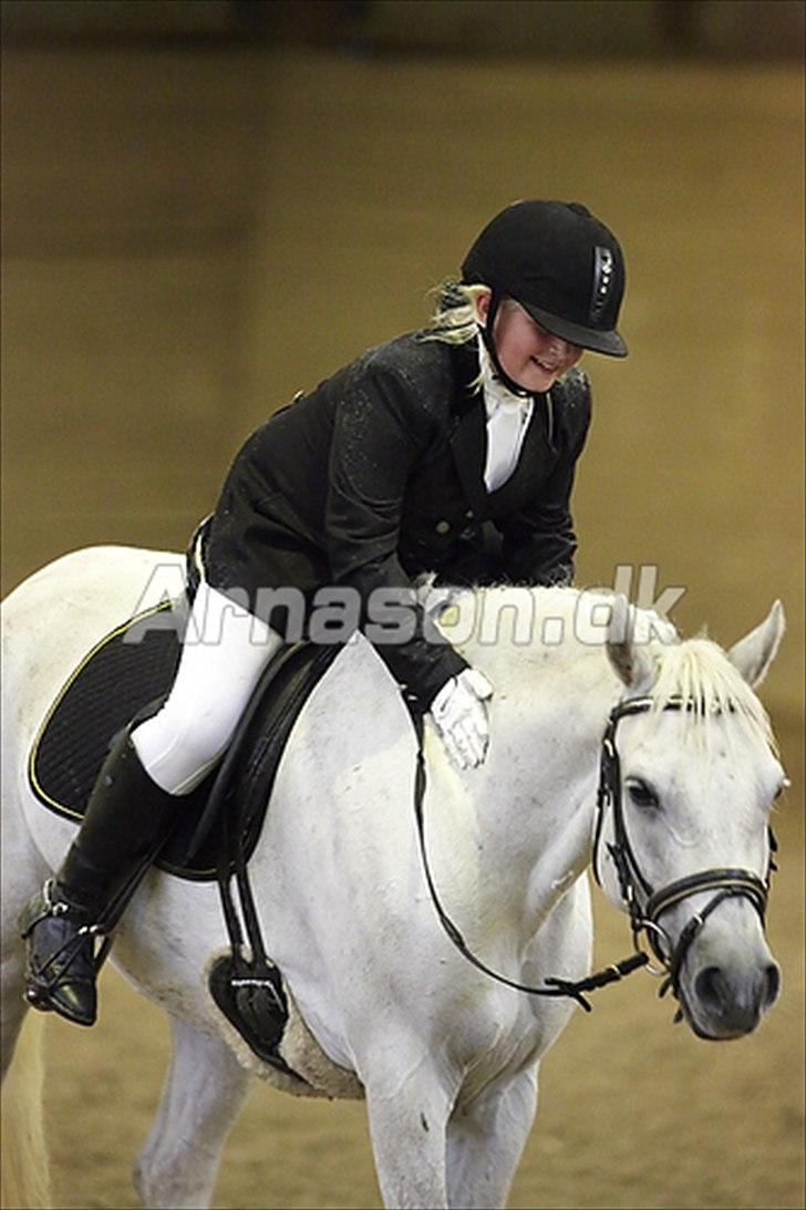 Connemara Solvang's Bastian - 25/11 2010. Efter en god LC1 hvor jeg blev placeret som nummer 1 med 66,67 ud af 18:-) billede 12