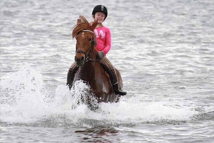 Anden særlig race MJ Mille | Tidl Låne Hest - Ude og bade!:D
Foto af Maria billede 10