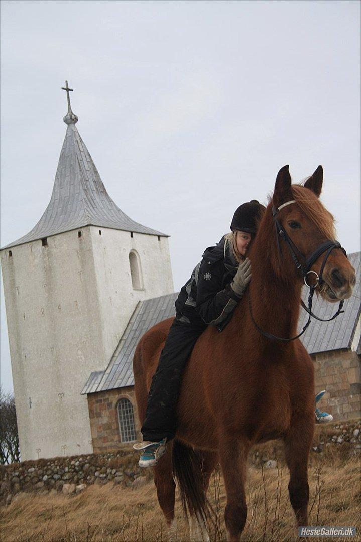 Anden særlig race MJ Mille | Tidl Låne Hest - Velkommen til Mille's Profil :)
Foto af MMB billede 1