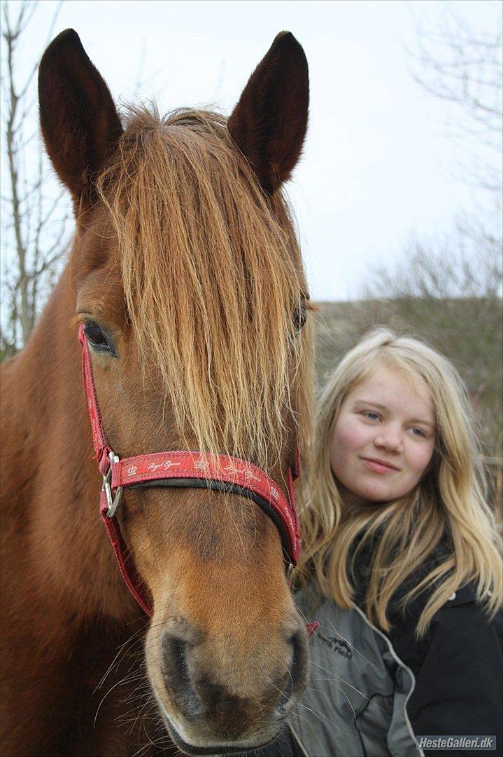 Anden særlig race MJ Mille | Tidl Låne Hest - Foto af MMB billede 14
