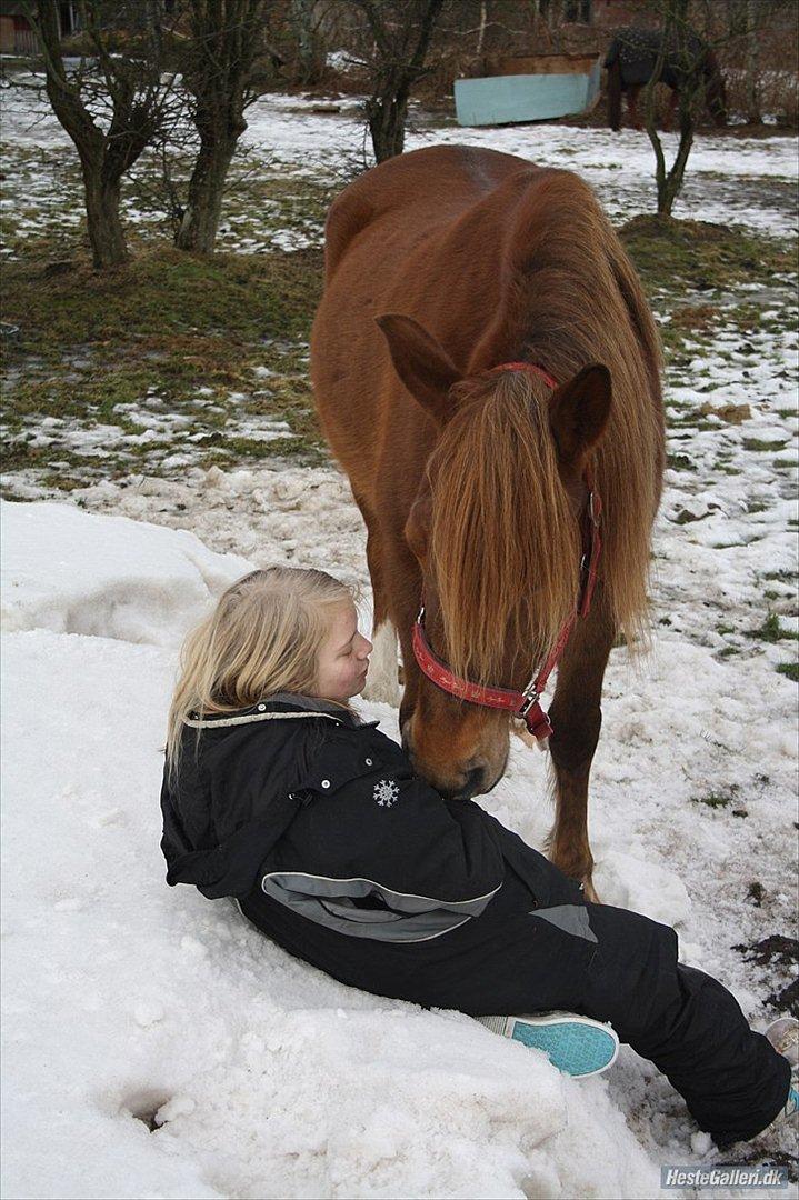 Anden særlig race MJ Mille | Tidl Låne Hest - Foto af MMB billede 15