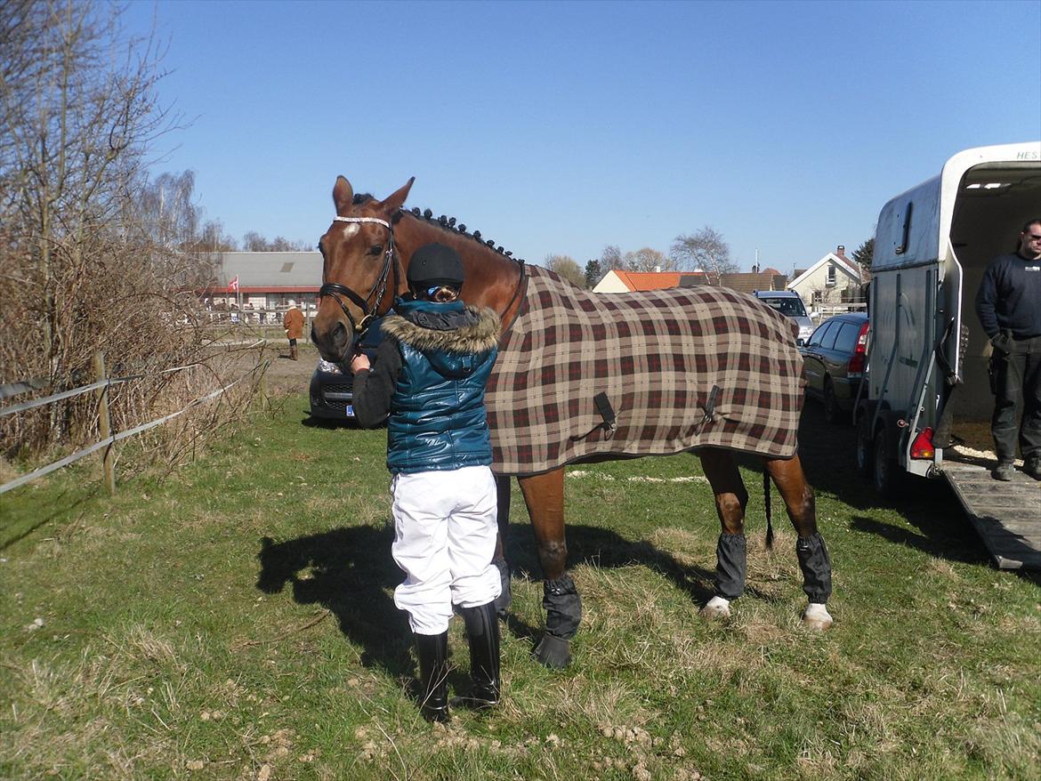 Dansk Varmblod Bernard<3 - Bernard og Jeg til vores første stævne sammen vi red LA1  billede 12