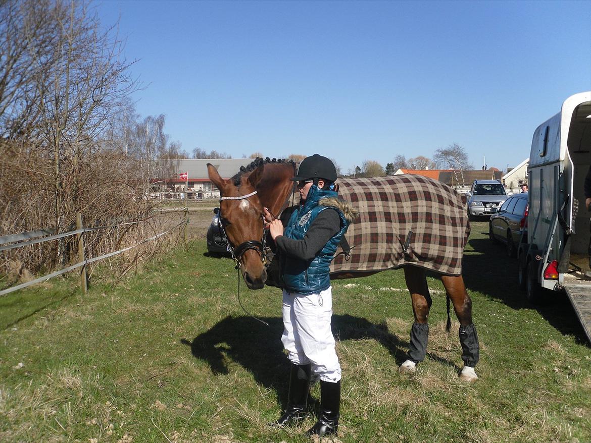 Dansk Varmblod Bernard<3 - Bernard og Jeg til vores første stævne sammen vi red LA1  billede 13