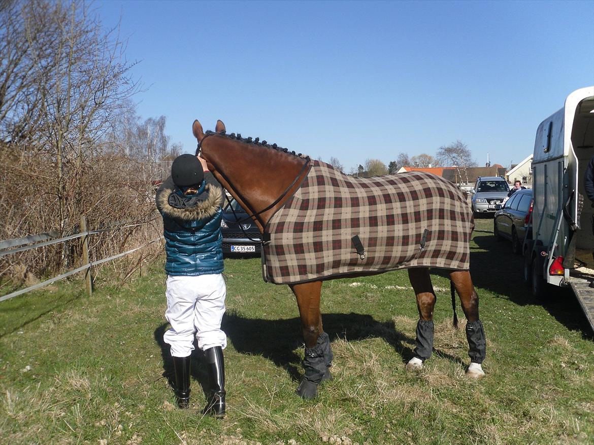 Dansk Varmblod Bernard<3 - Bernard og Jeg til vores første stævne sammen vi red LA1  billede 14
