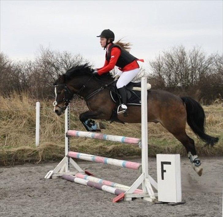 Anden særlig race Buster - Fra vores første LA :-) i DSM
foto: Josephine billede 5