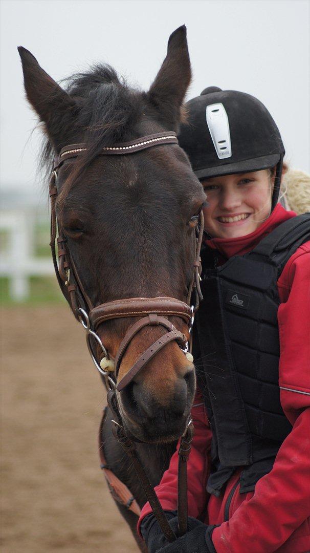 Connemara Tobæks Isabella <3 - lidt hygge billede 7