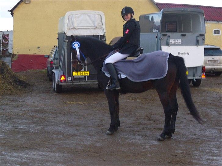 Connemara Tobæks Isabella <3 - Springstævne  2.plas er hun ikke fin :) billede 10