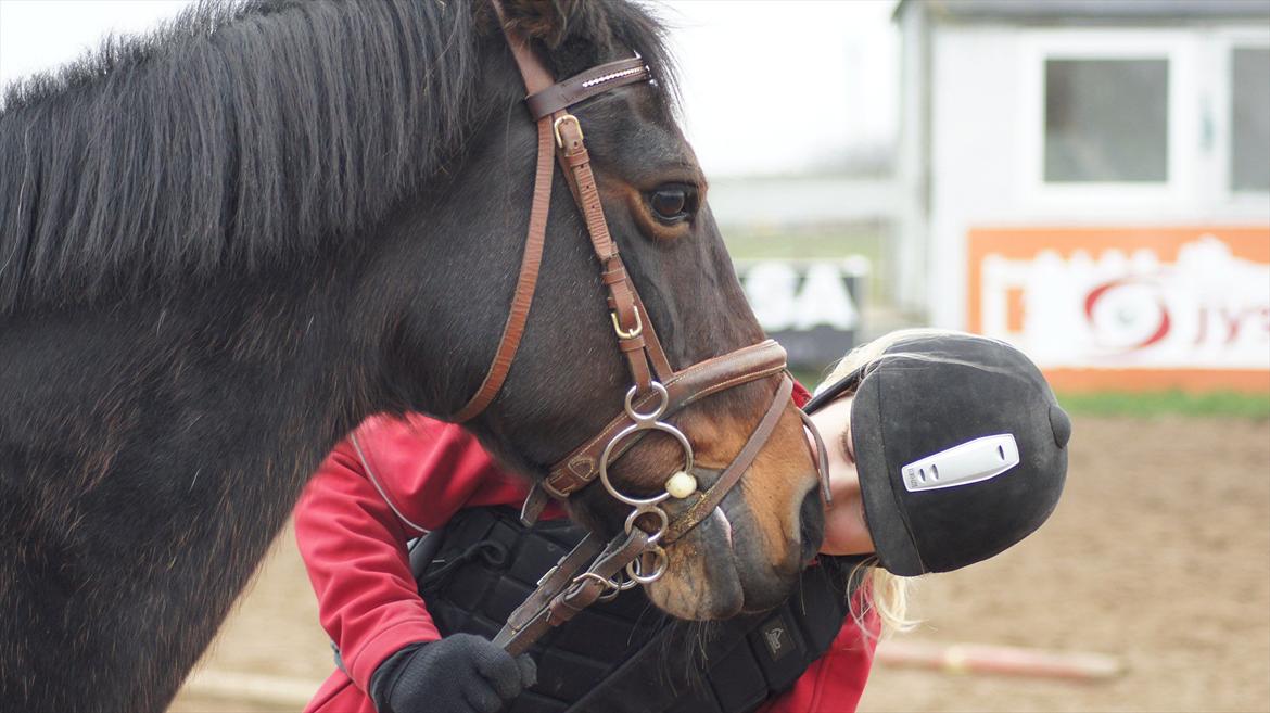 Connemara Tobæks Isabella <3 - et lille kys til bella <3 billede 5