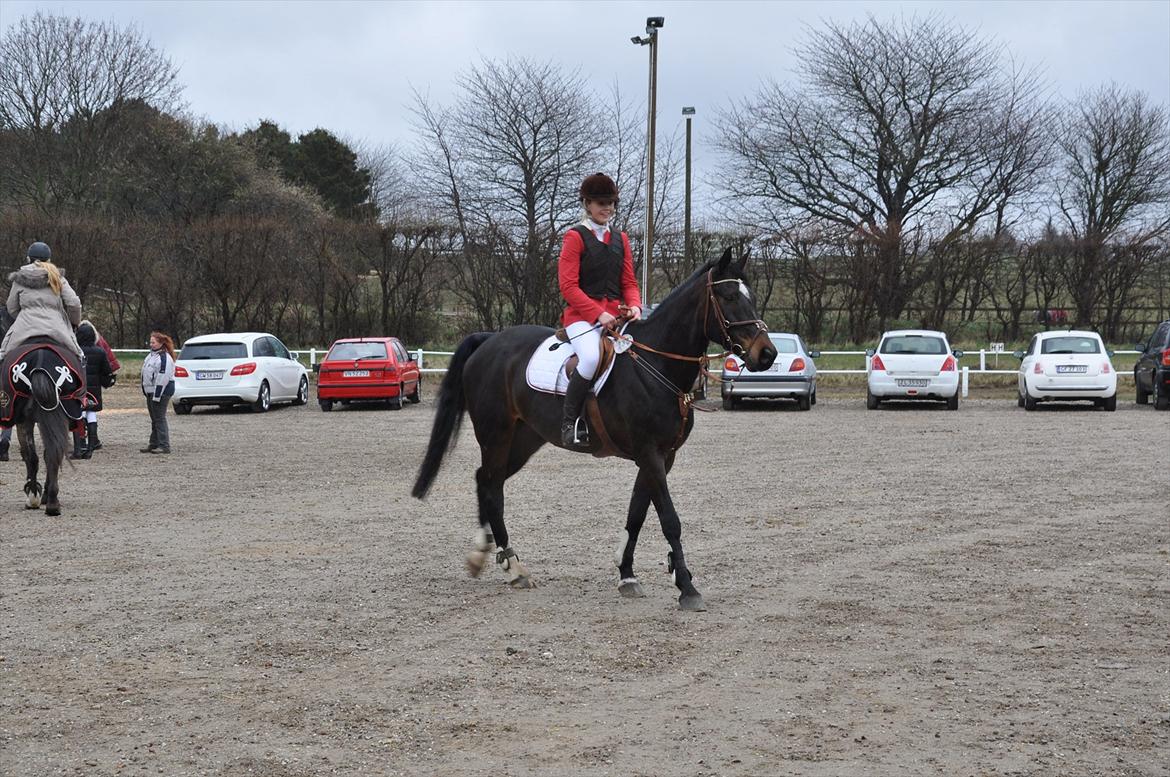 Zangersheide Conette Z *Nettie* - Distriktsstævne på SLR. Rytter Alberte Bidstrup billede 11