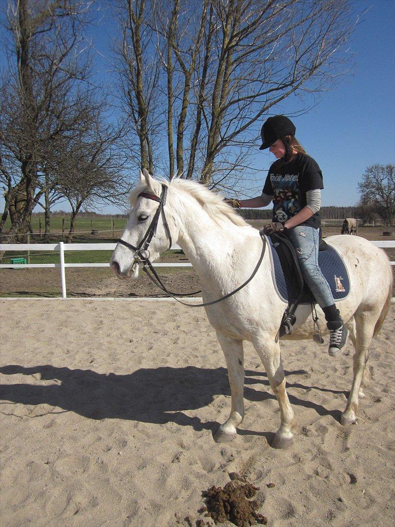 Anden særlig race • William billede 4