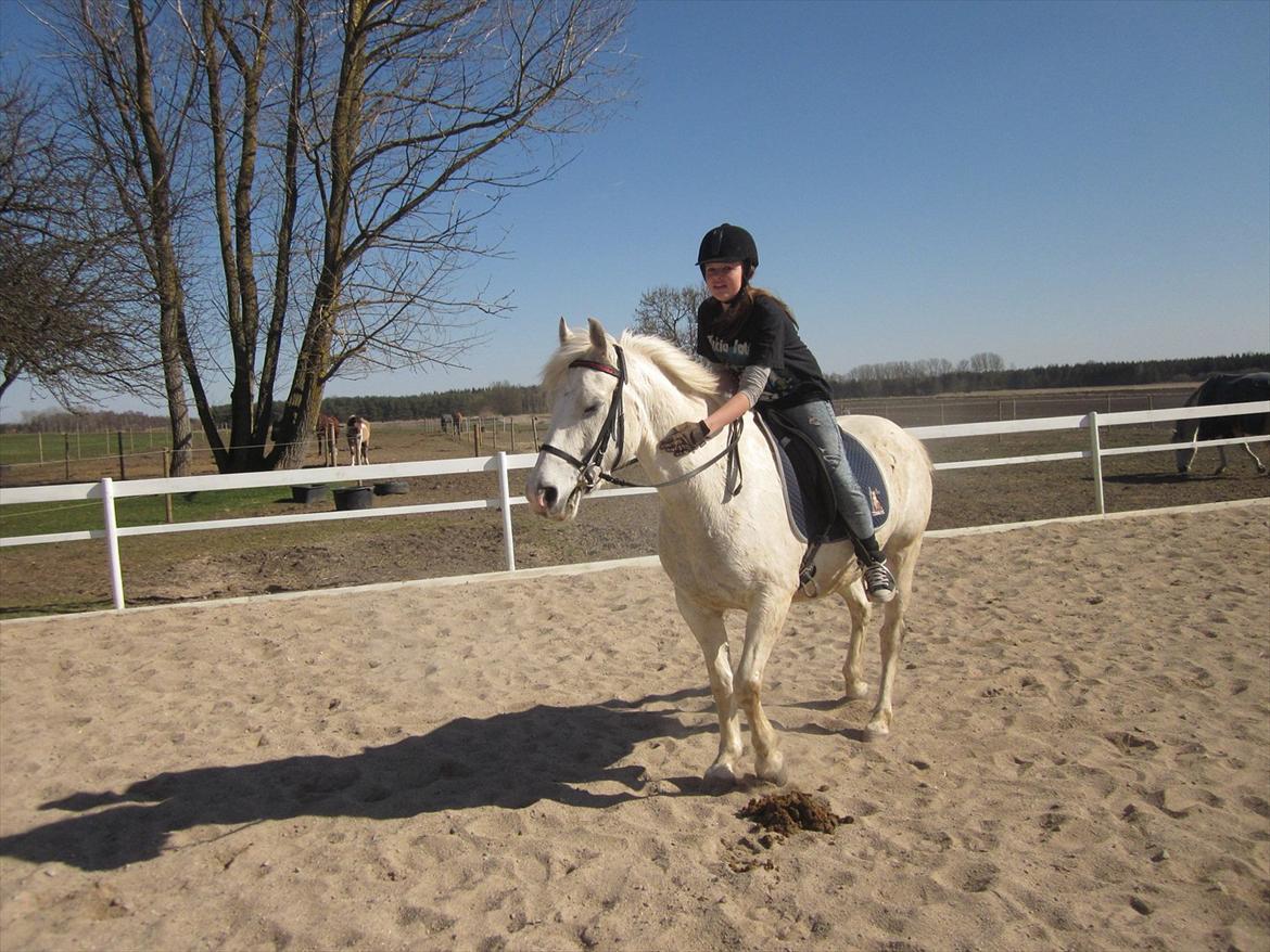 Anden særlig race • William billede 3