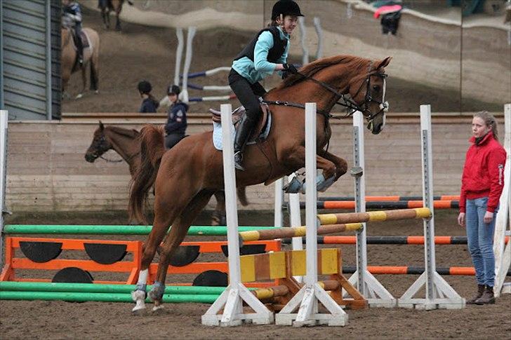 Palomino Rainbow Red Angel (solgt) - Frederikke og Angel (billedet er taget af Signe Lin) billede 18