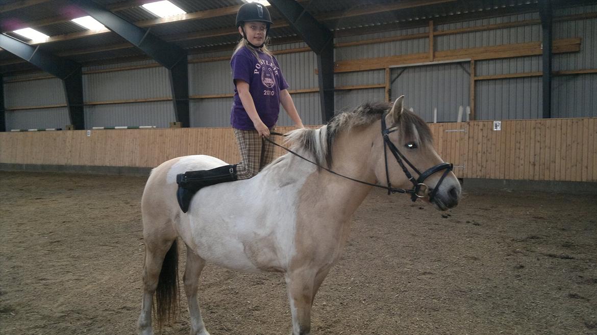 Anden særlig race Troja billede 11